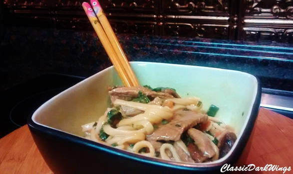 Udon-Beef Noodles