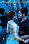 Fairytale-love- Book Cover