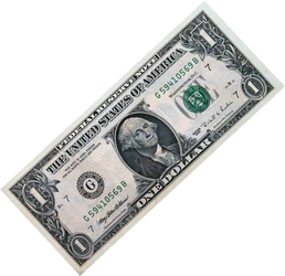 Dollar Bill Vector (F2U)