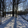 Winter mood