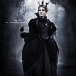 Fairy Tale Ending by venomousey