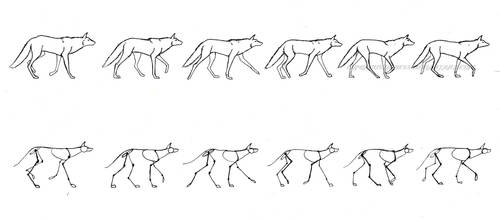 R-Walk Cycle on Animators-Space - DeviantArt R-Walk Cycle on Animators-Space - DeviantArt