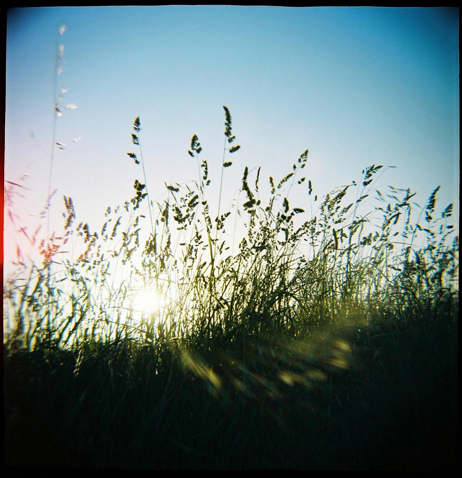 Out In the Fields