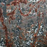 Texture 09