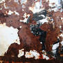 Texture 11