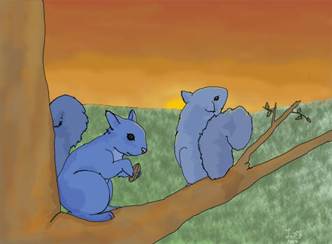 Blue Squirrels