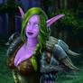 Night Elf