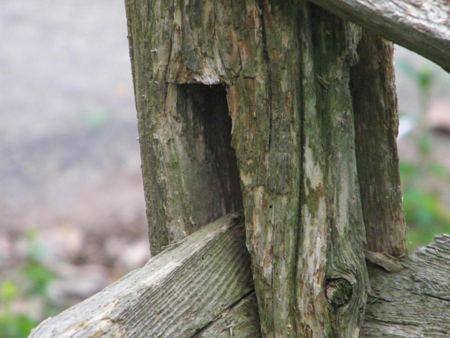 Wooden Fence