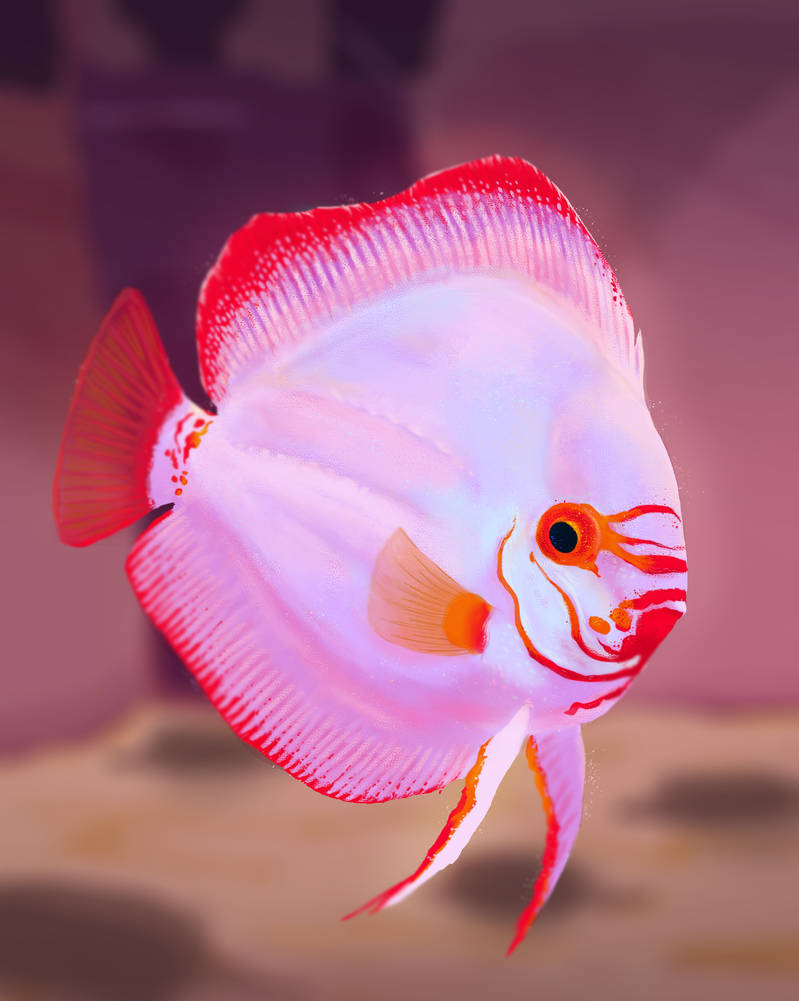 Pixelated Discus Discus by GioCastelli1 on DeviantArt