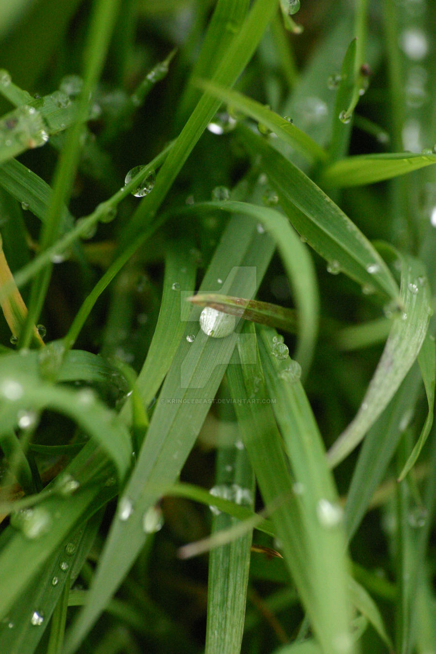 Water Droplet2