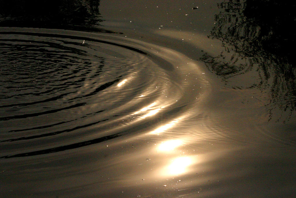 Farnham Park Pond