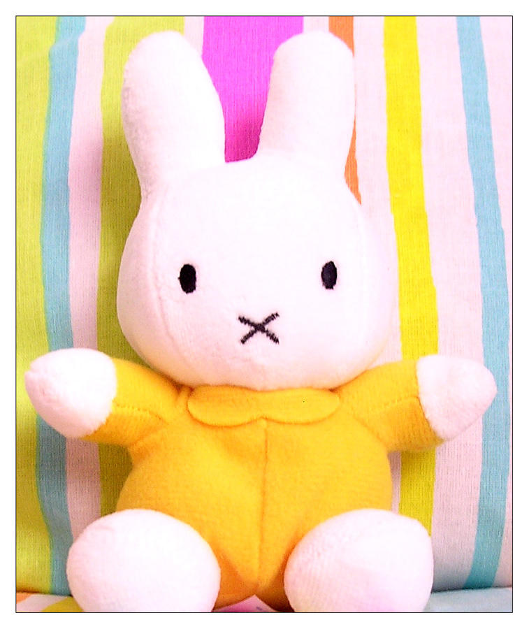 Miffy Photo 01 by Miffy fans on DeviantArt Miffy Photo 01 by Miffy fans on DeviantArt