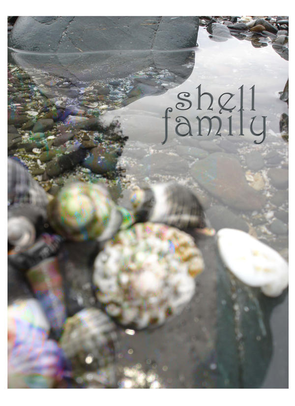 SHELL FAMILY by Deenisha on DeviantArt