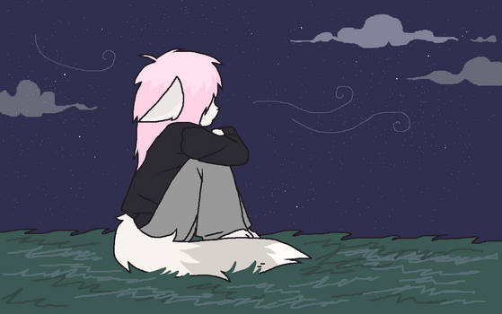 night time