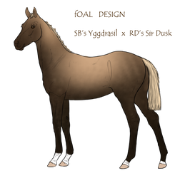 Foal Design - SB's Yggdrasil x RD's Sir Dusk