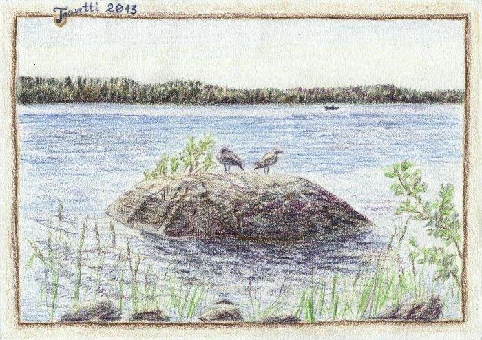 Summer 2013 - birds of Finland