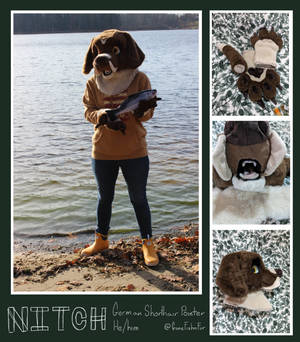 Nitch's Fursuit