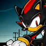 Shadow the Hedgehog[16]