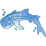 Whaleshark 4~ f2u