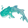 Whaleshark 7~ f2u
