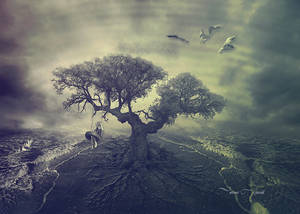 tree... by mirandaarts tree... by mirandaarts