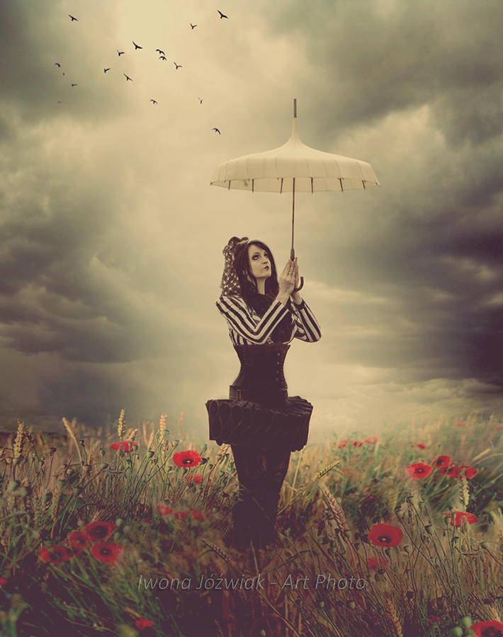 on the meadow... by mirandaarts on the meadow... by mirandaarts