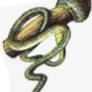 The Anchorwhip (Garfield-style)