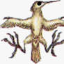 Gynomorpha Parasitica (Garfield-style)