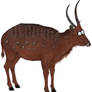 Cleft-back Antelope (Garfield-style)