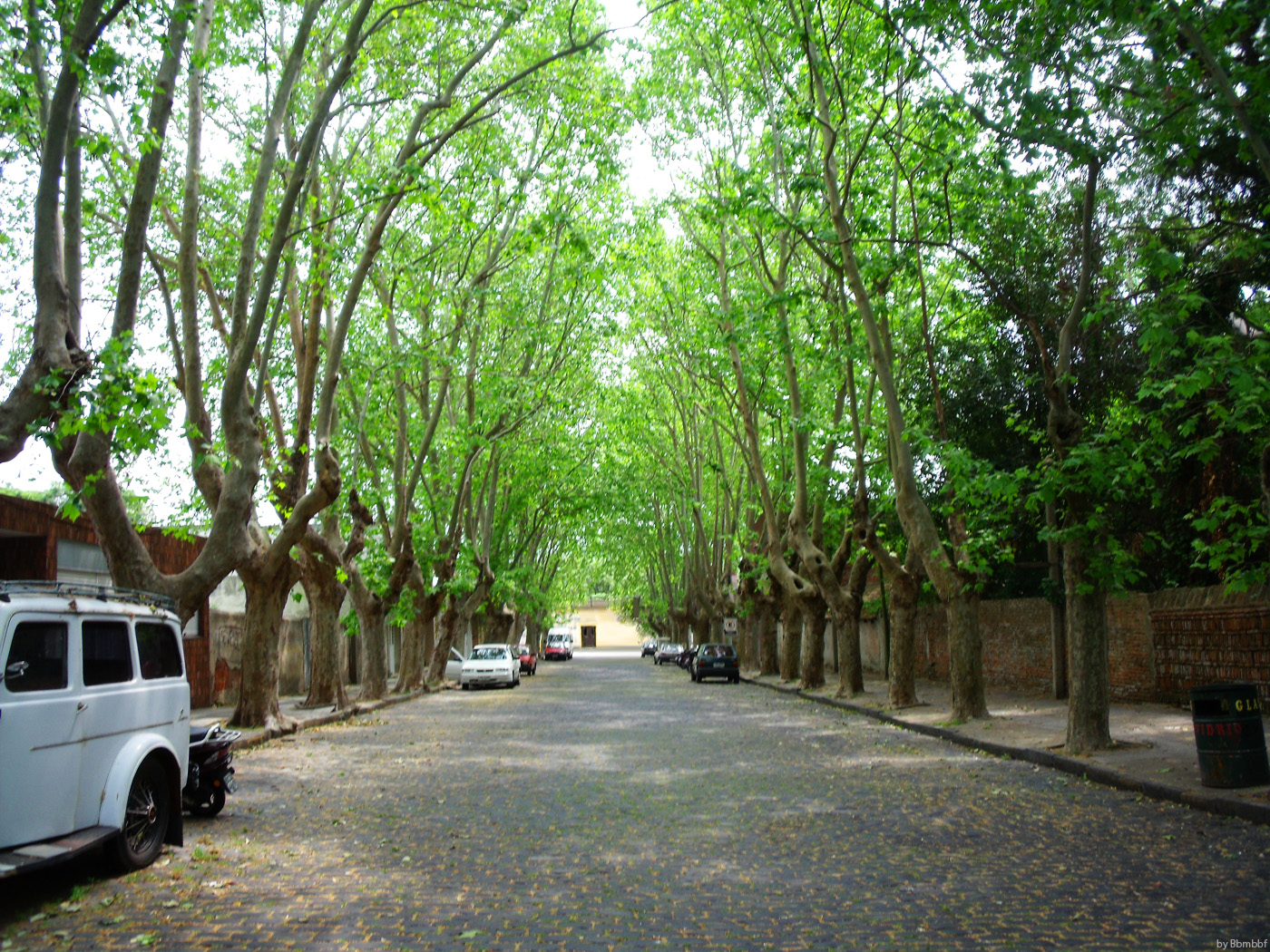 Calle Bonita - Uruguay