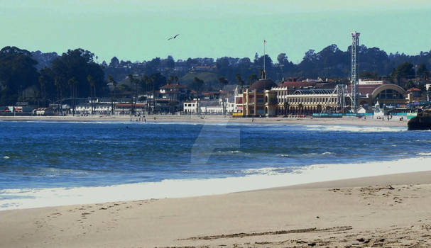 Santa Cruz Sea Bright Feb.26,2013 052