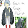 gray parroooooooooots