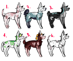 Cheap dog adopts [4/6 OPEN]