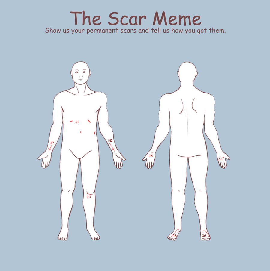 The Scar Meme