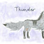 Thunder, Character Sheet