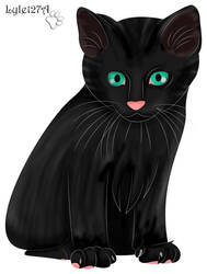 [Gift] Black Kitty