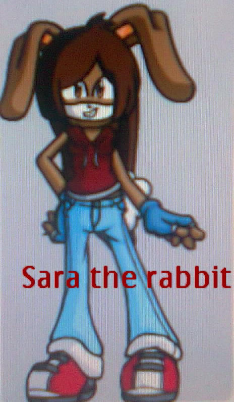 sara the rabbit by Madrilista on DeviantArt