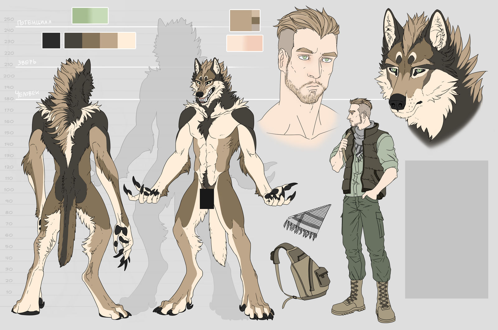 Werewolf reference commission by HaasapGasko on DeviantArt