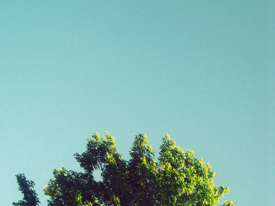 World Behind My Wall II. by memnochh on DeviantArt