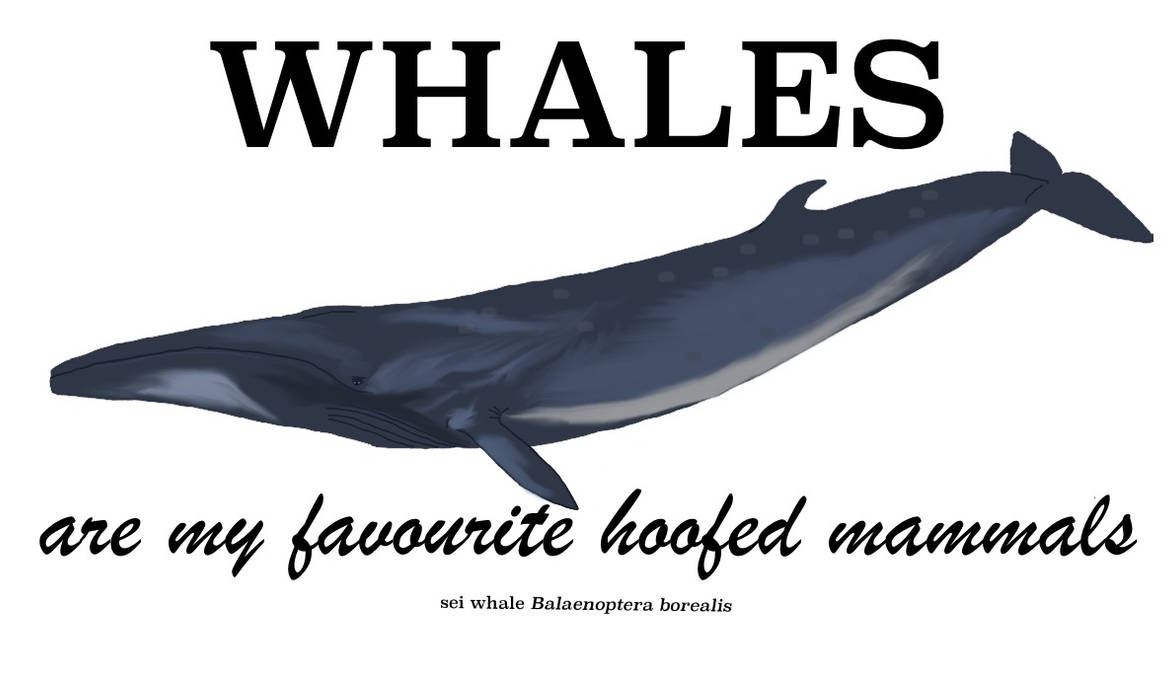 My Favourite Hoofed Mammals by CMIPalaeo on DeviantArt