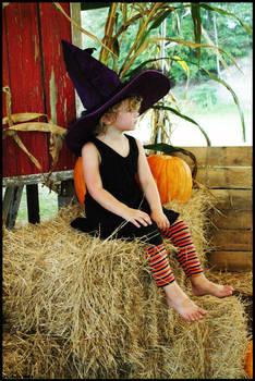 Little Witch 2012