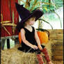 Little Witch 2012