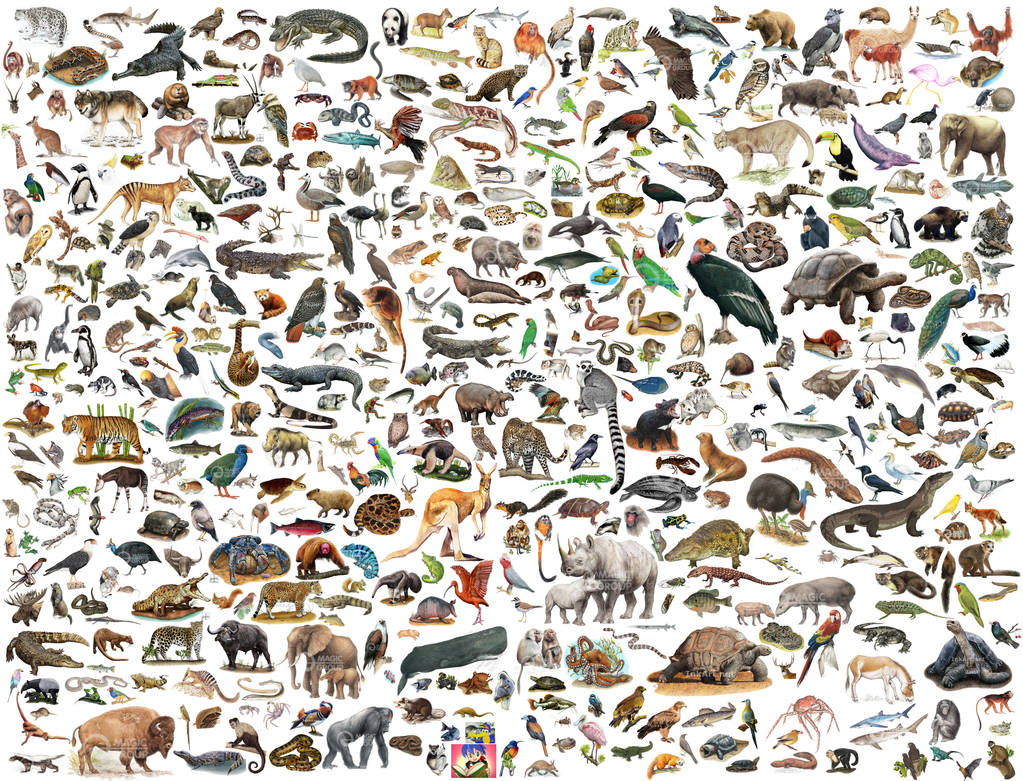 All Animals Deviantart Animals! 2 by Fyrekobra on DeviantArt