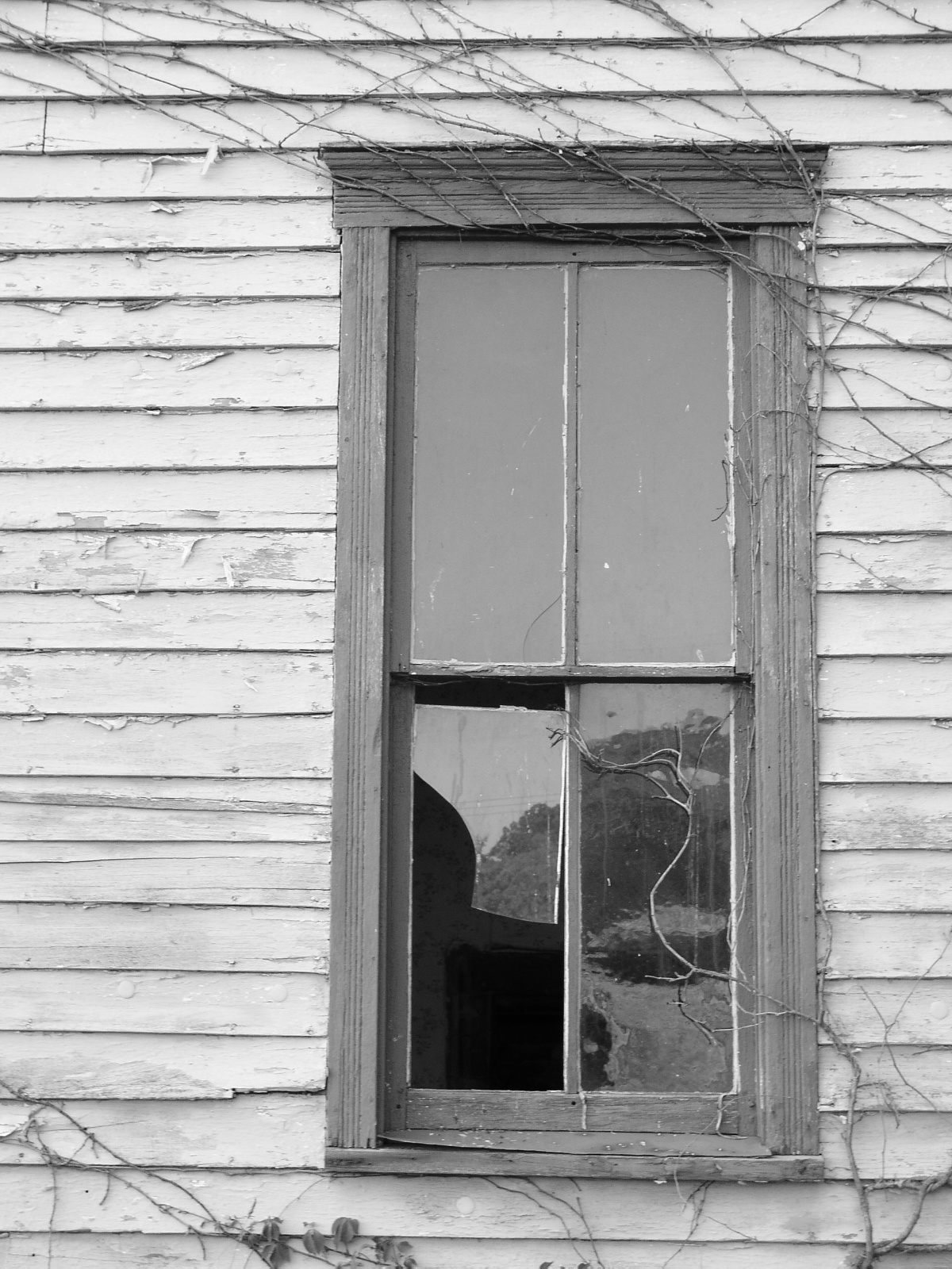 S.S Broken Window