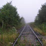 S.S. Foggy Tracks