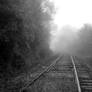 S.S. Foggy Tracks 2