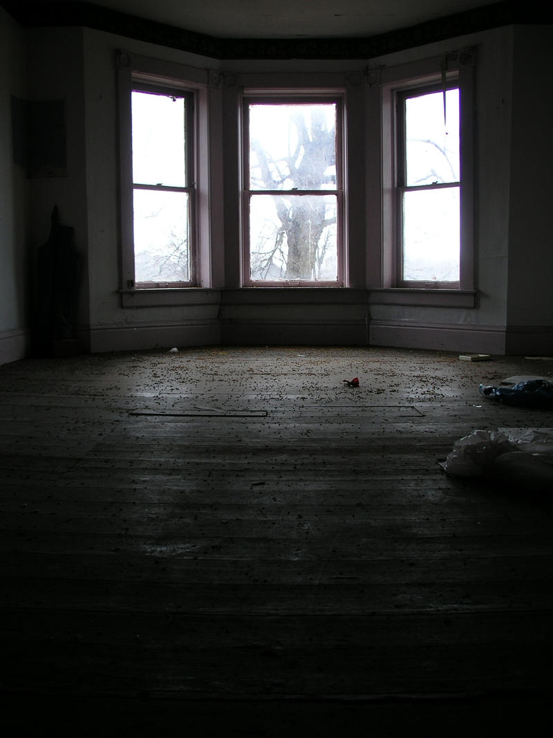 S.S. 3 Windows