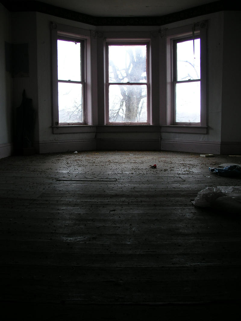 S.S. 3 Windows