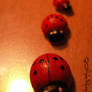 Ladybug III