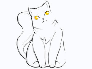 Draw a Cat